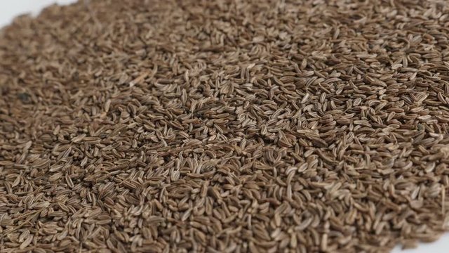 Heap of meridian fennel Carum carvi seed 4K video
