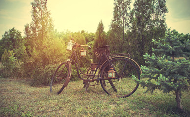 Fototapeta na wymiar Old rusty bicycle