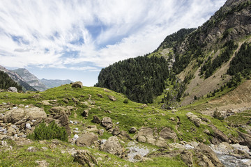 Fototapeta na wymiar landscape in the pyrenees