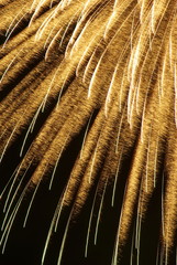 花火（ fireworks）