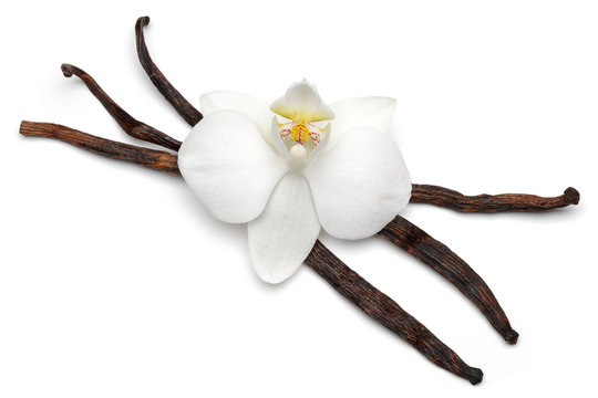 Vanilla witth orchid