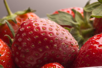 Erdbeere mit anzeichen von Schimmelbefall - weiße Härchen