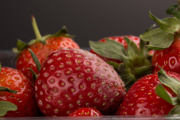 rote Erdbeere mit anzeichen von Schimmelbefall - weiße Härchen