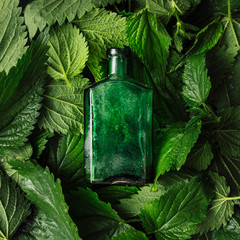 Creative nettle leaves with glass bottle background. Minimal nature concept. Flat lay. Green herbs texture.