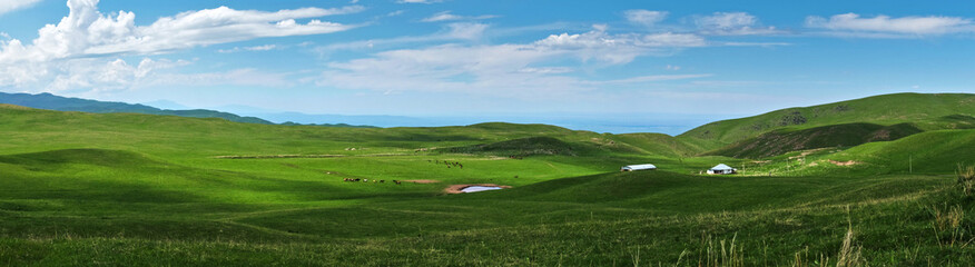 Panoramic view of beautiful green hills with little pond and horses in the pasture