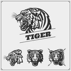 The emblems with tiger for a sport team.
