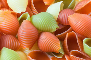 Raw  colored pasta  seashell ,  pasta background or texture.