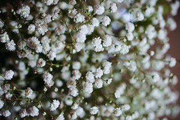 Beautiful close-up of a flower arrangement or bouquet with colorful flowers. Decoration of wedding reception or bridal bouquet. Macro shot flowers with selective focus