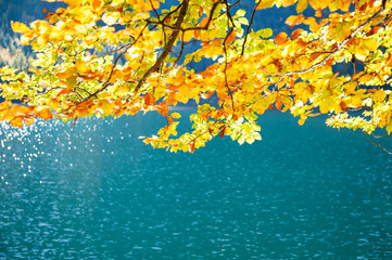 Yellow autumn trees over the water of lake