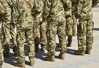 Soldiers standing in a row at the military parade.