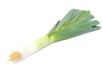 Fresh leek onion isolated on white background