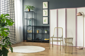 A metal chair standing in front of the screen and black shelves, next to a lamp and a round rug in a botanic room interior