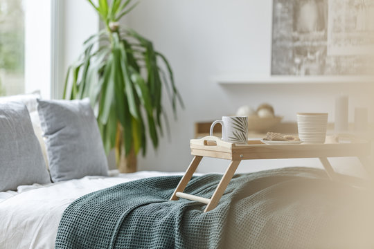 Breakfast to bed in room interior