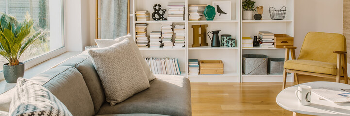 Close-up of a couch with pillows standing by the window, white bookshelf and armchair in a living...
