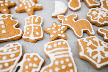 Christmas gingerbread cookies