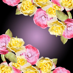 Beautiful floral background of roses. Isolated 