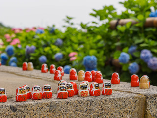 大阪・勝尾寺のダルマとアジサイ