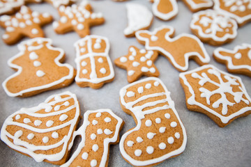 Christmas gingerbread cookies
