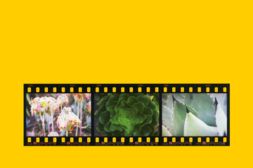 Film strip