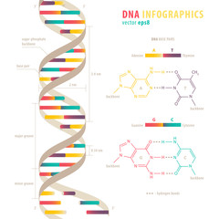 DNA infographics - 207148061