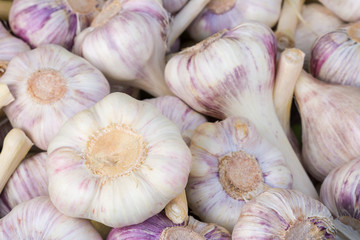 Garlic bulbs seen at the market