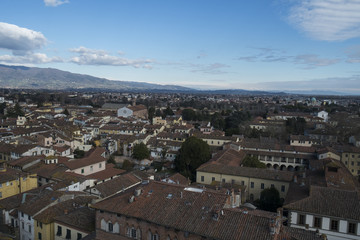 Viewpoint on the top of Torre Guinigi, Lucca, Italy