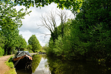 River with boat. Countryside landscape in summer
