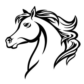arabian horse profile head - black and white vector design