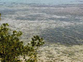 eau transparente caraibes 