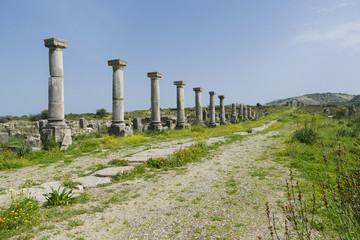 Roman city of Volubilis
