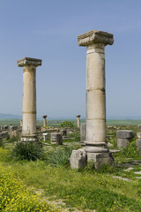 Fototapeta na wymiar Roman city of Volubilis