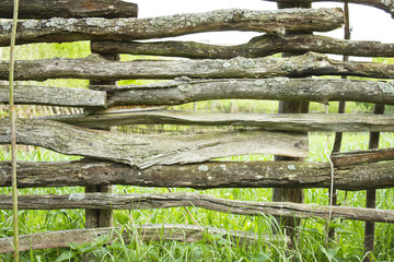 fence from a tree