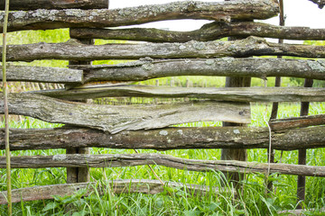 fence from a tree