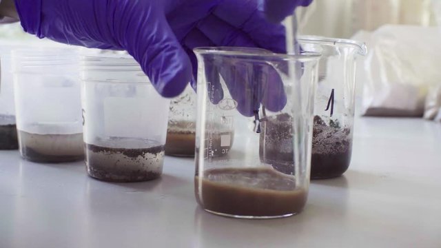 Close up hands of the scientist in laboratory mixing samples of the soil with water in the chemical beakers