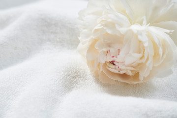 白いバラとタオル
