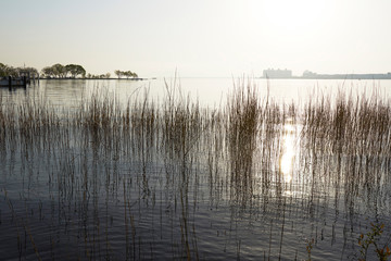 Fototapeta premium 朝の琵琶湖湖畔