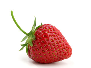 Close up of one single perfect strawberry isolated on white background