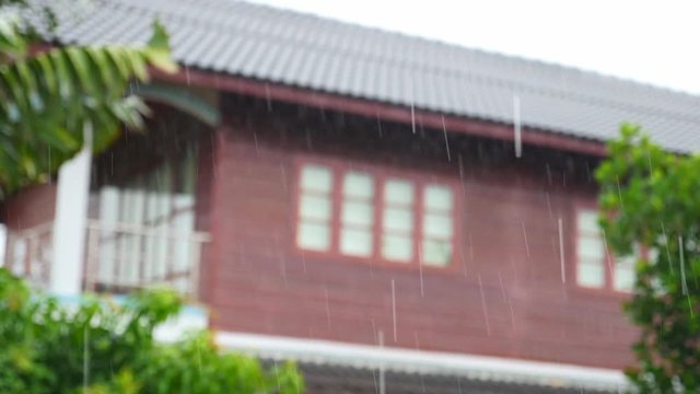 Falling Rain 
