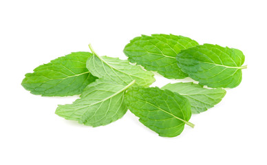 Mint leaves isolated on white background