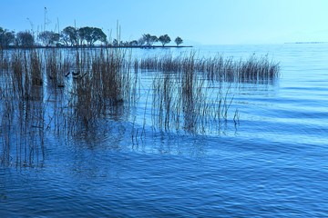 朝の琵琶湖湖畔