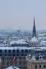 Views on rooftop Notre-Dame de Paris under the snow