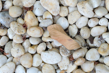 white stone texture background ,close up