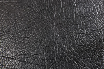 Leather Texture