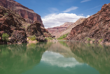 Colorado River Reflections