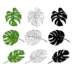 Philodendron tropical jungle leaves natural and outline and silhouette  on white background  vector illustration editable hand drawn