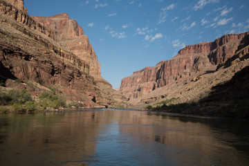 Colorado River Reflections