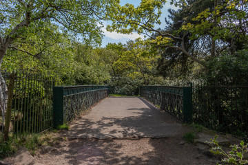bridge in parkland