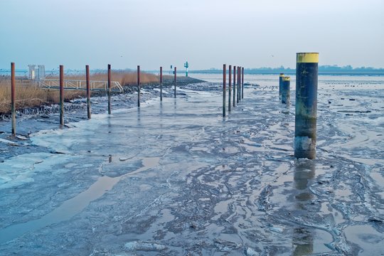 Wooden posts in river, Petkum, Emden, Lower Saxony, Germany