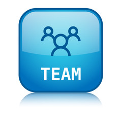 TEAM vector web button with icon