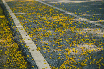 Yellow flower drop